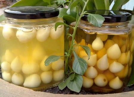 RƯỢU TỎI CÔ ĐƠN PHAN RANG