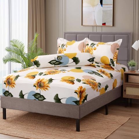 Bộ Drap Conton Pierre Cardin 4 món PCABDCF 017