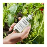  Nước Hoa Maison Margiela Replica From The Garden EDT 100ML 