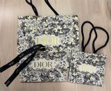  Túi Giấy Dior Vuông 14.5x5x13 - Họa Tiết JOUY 