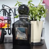  Nước hoa Tom Ford Oud Wood Intense Chiết 10ml 