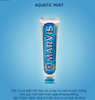 Kem đánh răng Marvis Toothpaste 25g - Xanh Dương Aquatic Mint