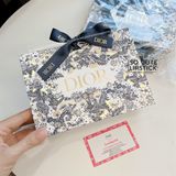 Túi Giấy Dior Nơ Ruy Băng Xanh 19x5x14x7cm - Họa Tiết 