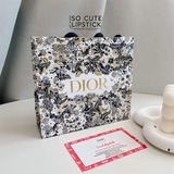  Túi Giấy Dior Vuông 14.5x5x13 - Họa Tiết JOUY 