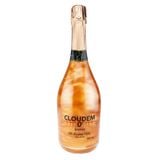  Nước Cocktail Trái Cây Có Ga Cloudem 750ml 