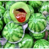  Kẹo Dẻo Trolli 75g 