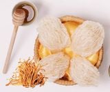  Tổ Yến Đông Trùng Hạ Thảo Hima Cordyceps 