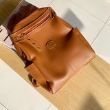  Balo 2 kiểu đeo BL29 