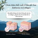  Kem tế bào gốc tái tạo tế bào da TBG01 