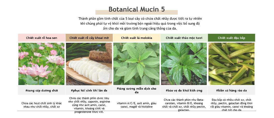  KEM DƯỠNG PHỤC HỒI TINH CHẤT VÀNG VÀ COLLAGEN - SNP GOLD COLLAGEN EXPERT CREAM - KD02 