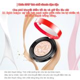  Phấn nén Ciracle Red Vita Care Luminant Concealer Pact SPF50+/PA+++ P1 