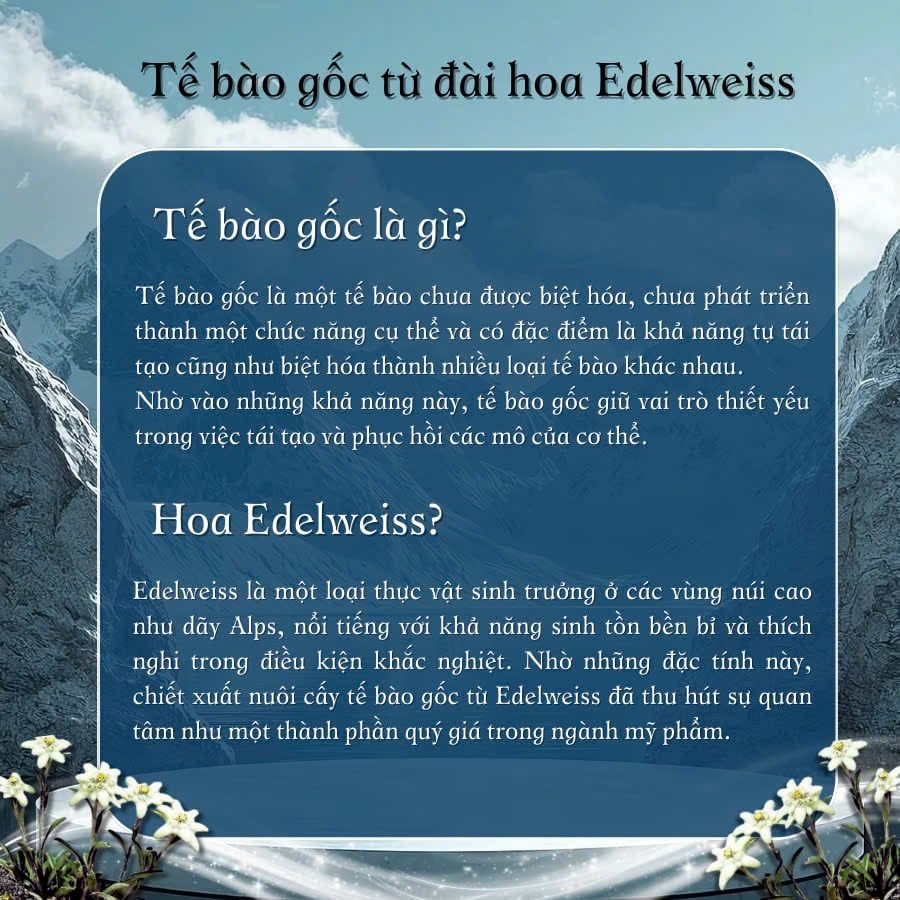  Kem tế bào gốc tái tạo tế bào da TBG01 