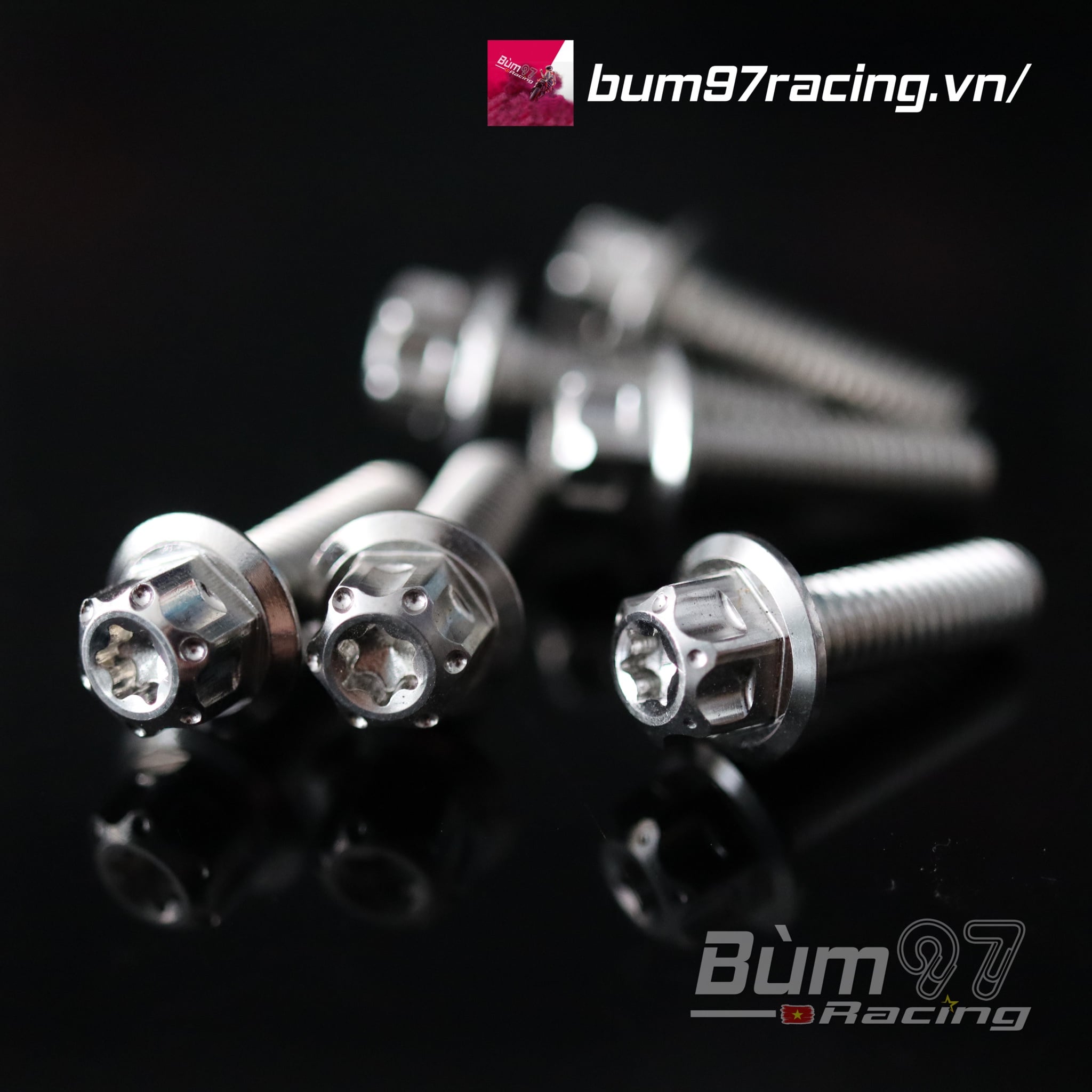 Ốc Salaya M6 Các Loại