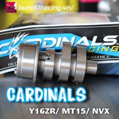  Cam CARDINALS EX155VVA/ Y16ZR/ MT15/ NVX 