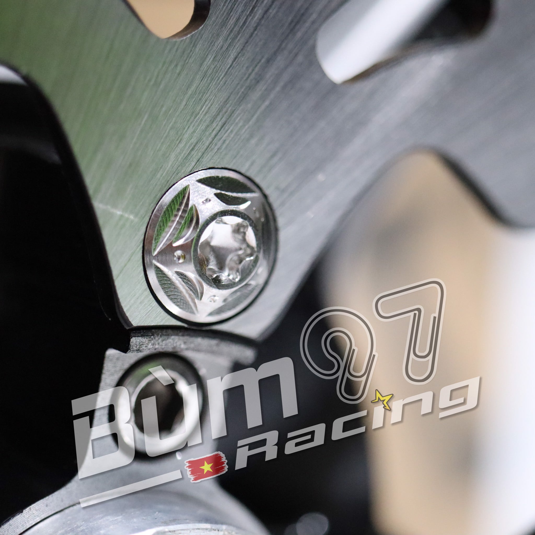 Ốc Đĩa Salaya M8 X 2