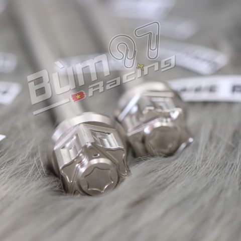  Cốt Salaya Inox + 2 Tán Đầu Bích 