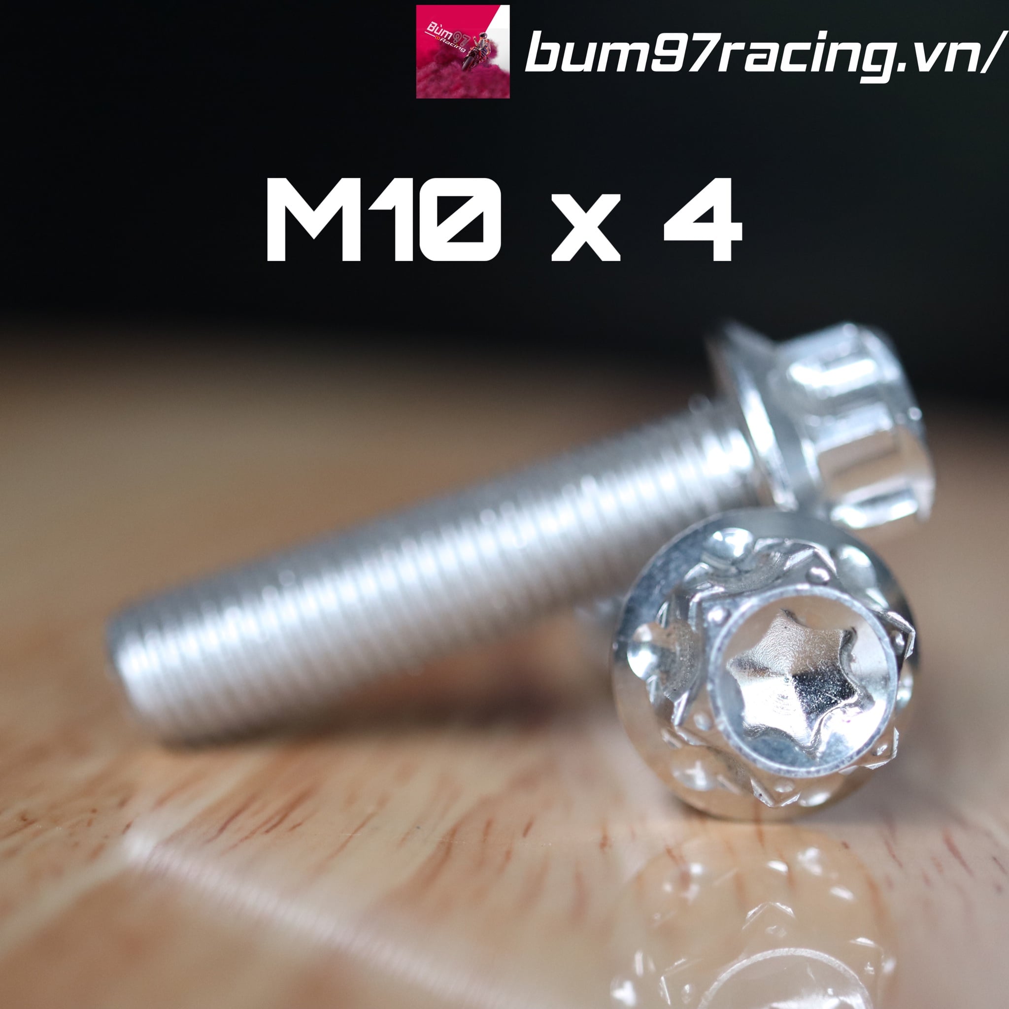 Ốc Salaya Inox 10li4P M10 X 4