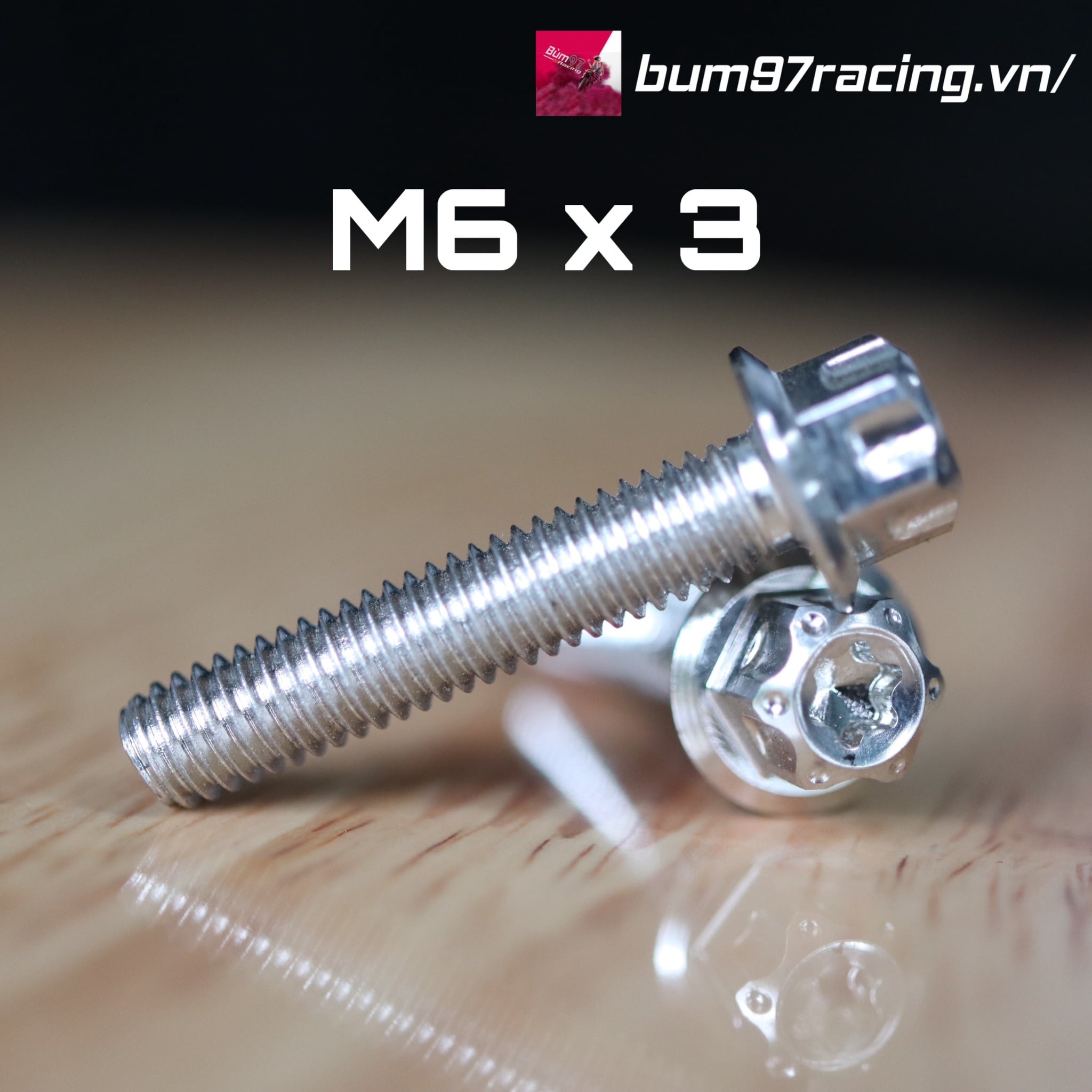 Ốc Salaya M6 x 3 Đầu Probol