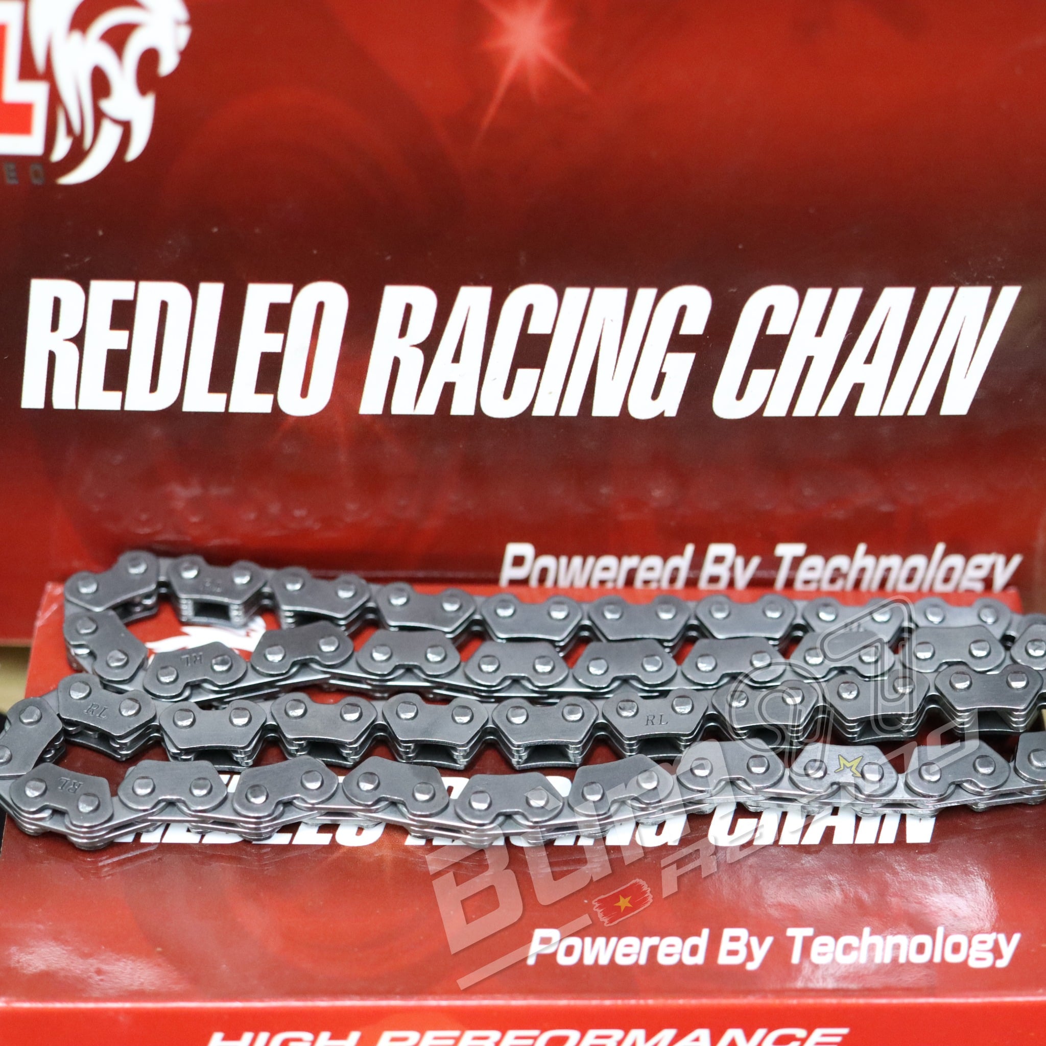 SÊN CAM REDLEO (CAO CẤP)