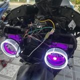  BI LED KENZO S500 LÊN EXCITER 155VVA 