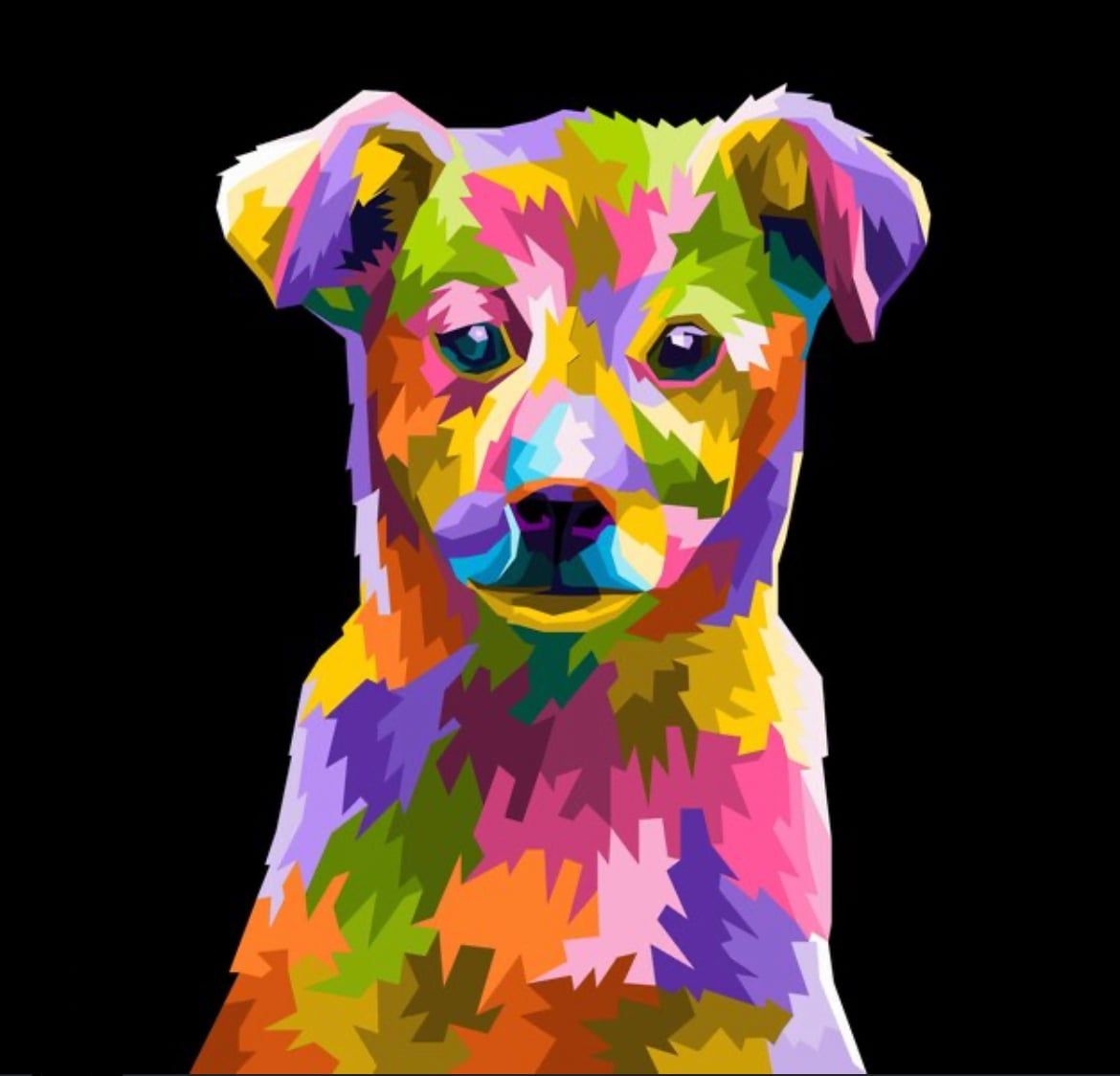  Phụ thu thiết kế 