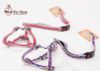 Dây dắt yếm ngực Off- White mềm Cao Cấp