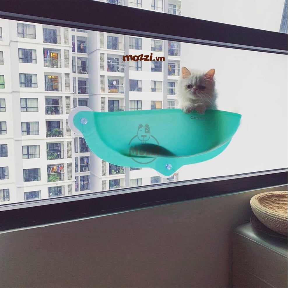 Cattyman Võng treo kính cửa sổ cho mèo