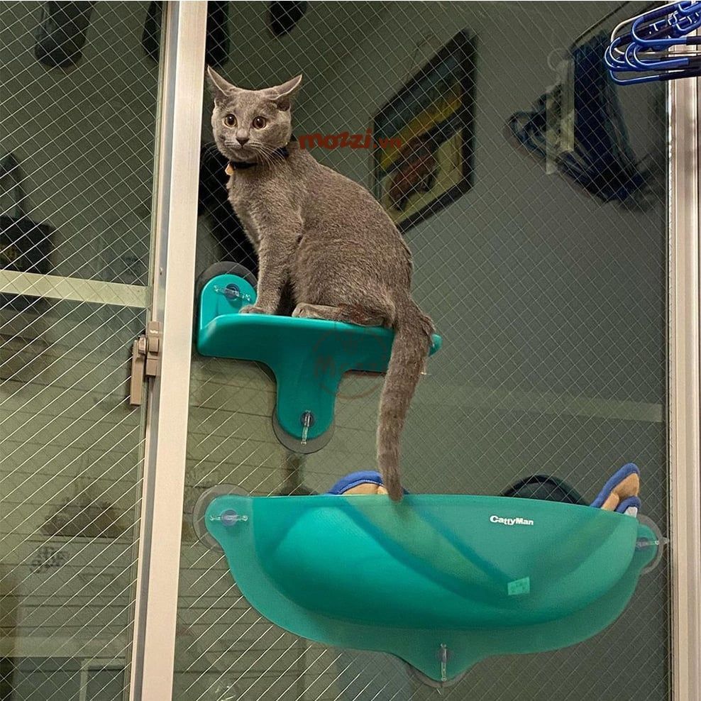 Cattyman Võng treo kính cửa sổ cho mèo