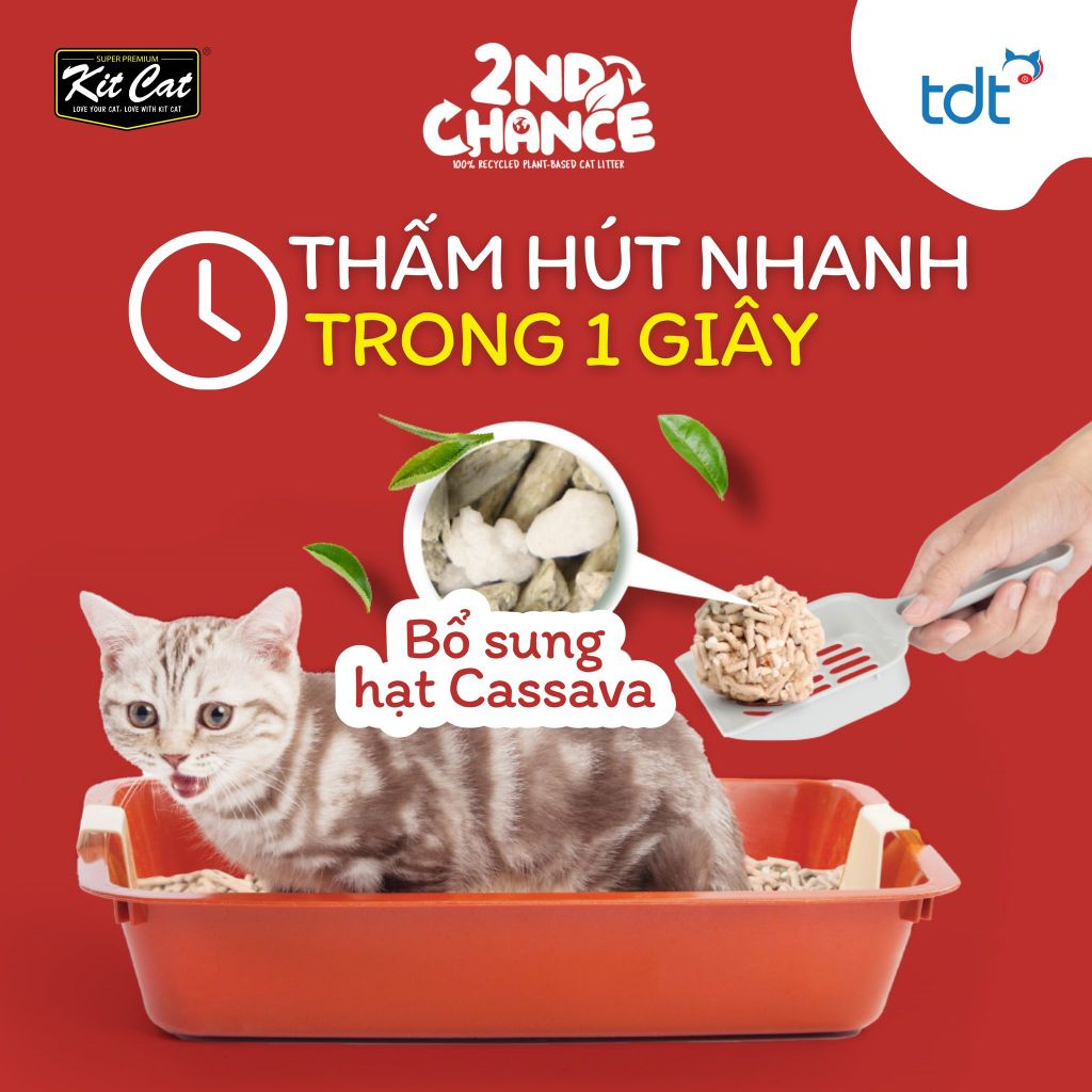 Cát đậu nành Kit Cat 2nd Chance - Cát vệ sinh cho mèo thế hệ mới