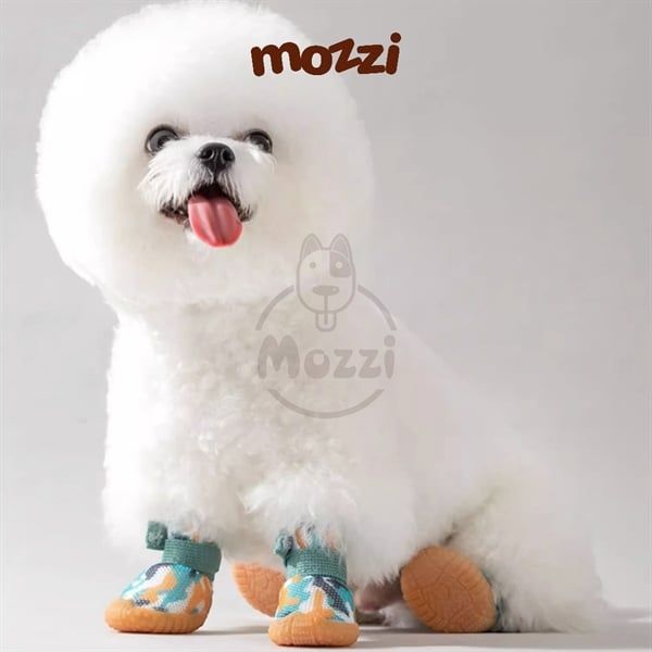 Giày vải caro đế cao su Hipidog cho chó mèo