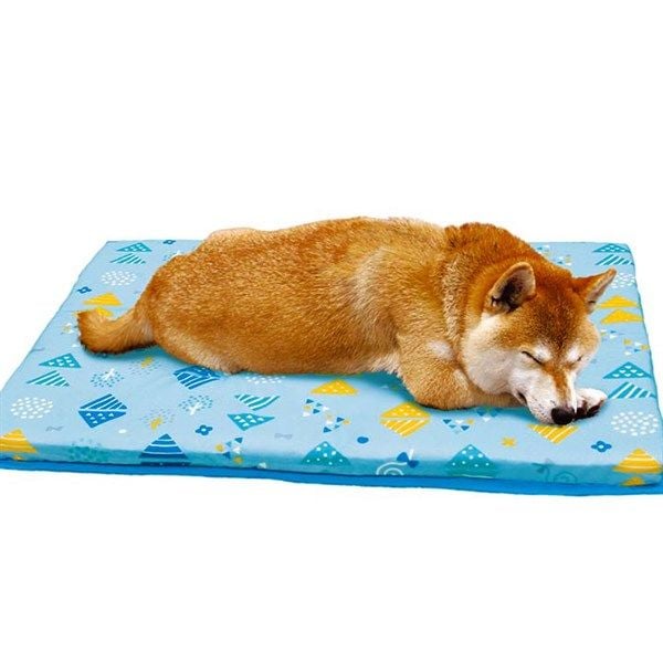  DoggyMan nệm chữ nhật 