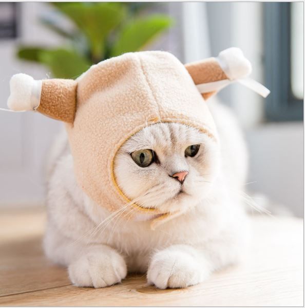 Nón Vải Thú Cưng