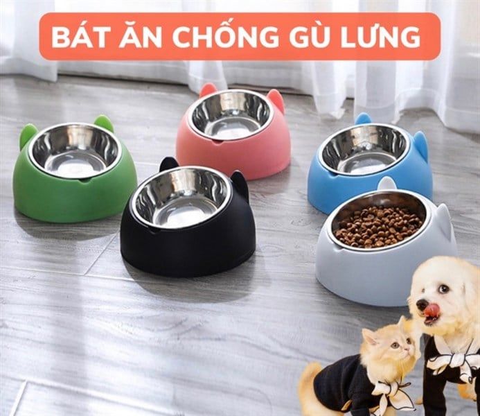 Chén bát ăn cho chó mèo đế nhựa cao có chén inox chống gù