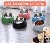  Chén bát ăn cho chó mèo đế nhựa cao có chén inox chống gù 