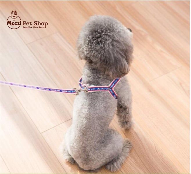 Dây dắt yếm ngực Off- White mềm Cao Cấp