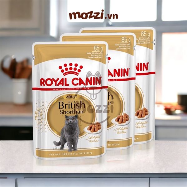 Pate Royal Canin cho mèo Anh lông ngắn British và Ba Tư Persian