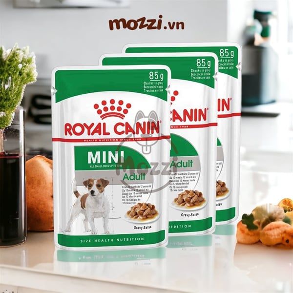 Pate cho chó Royal Canin Poodle Adult lông xoăn