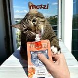  Súp thưởng cho mèo Wanpy có nắp vặn Bịch 90gr 