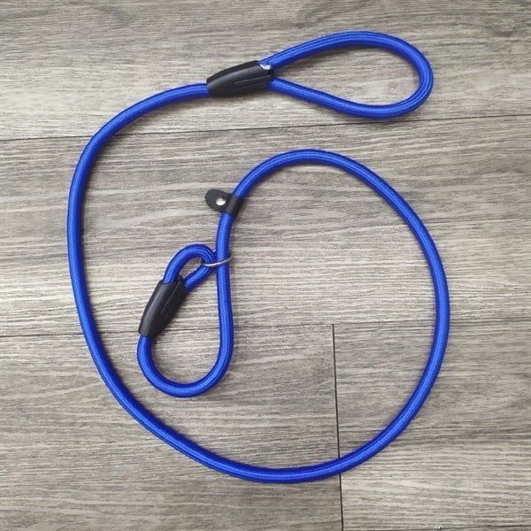 Dây dắt huấn luyện dáng tròn tự thu nới vòng cổ cho chó mèo