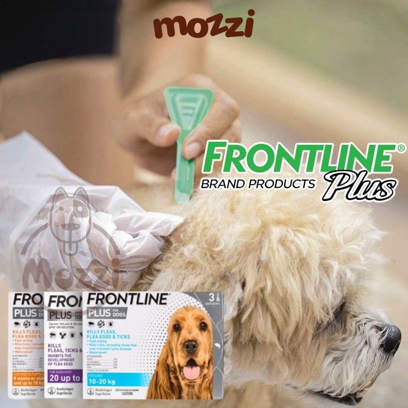 Nhỏ gáy trị ve rận bọ chét Frontline Plus cho chó