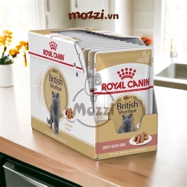 Pate Royal Canin cho mèo Anh lông ngắn British và Ba Tư Persian