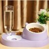 Chén bát ăn cho chó mèo Chống gù kèm nước tự động mặt mèo