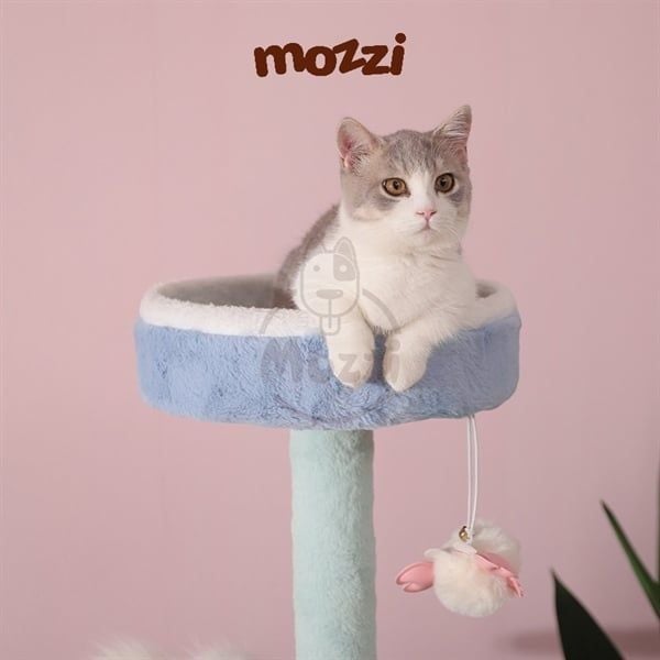 Cat Tree - Trụ mèo cào 3 tầng Hoopet
