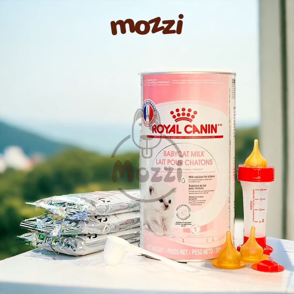 Sữa bột cho mèo sơ sinh và mèo mẹ BabyCat Milk Royal Canin