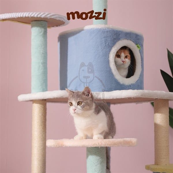 Cat Tree - Trụ mèo cào 3 tầng Hoopet