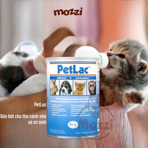  Sữa bột PetLac Pet Powder PetAg Lon 300gr cho thú cảnh 