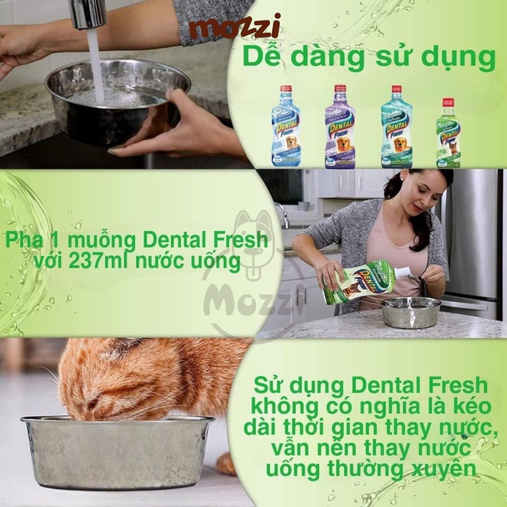 Dung dịch pha uống hết hôi miệng mảng bám trắng răng cho chó mèo Dental Fresh - Made in USA