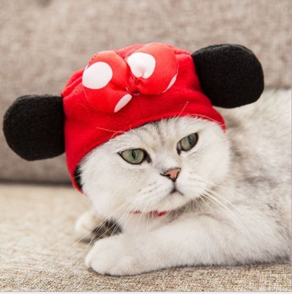 Nón Vải Thú Cưng