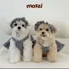 Đầm caro 3 món Hipidog cho chó mèo