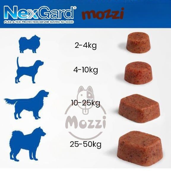 Viên nhai trị ve bọ chét Nexgard cho chó